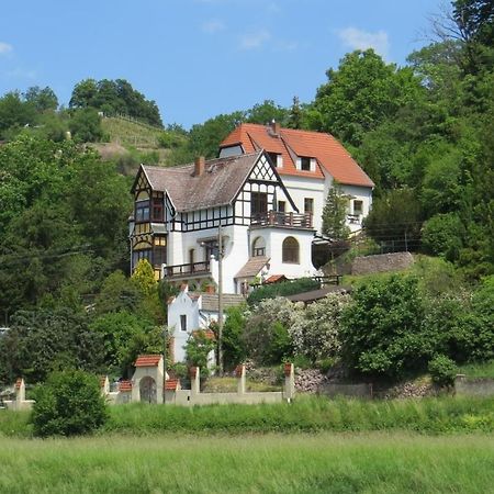Ferienwohnung Elbsommer Am Weinberg Meißen Kültér fotó
