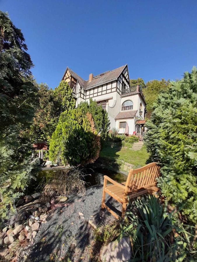 Ferienwohnung Elbsommer Am Weinberg Meißen Kültér fotó