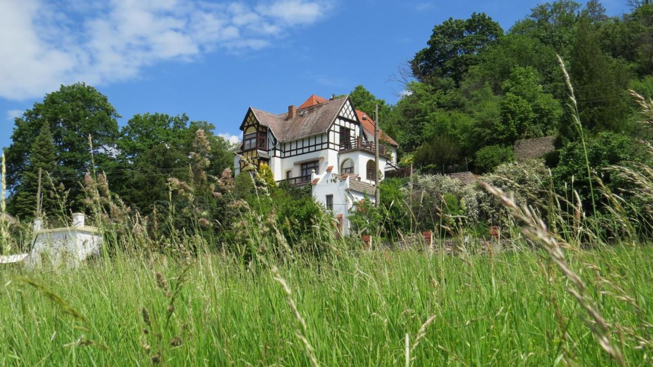 Ferienwohnung Elbsommer Am Weinberg Meißen Kültér fotó